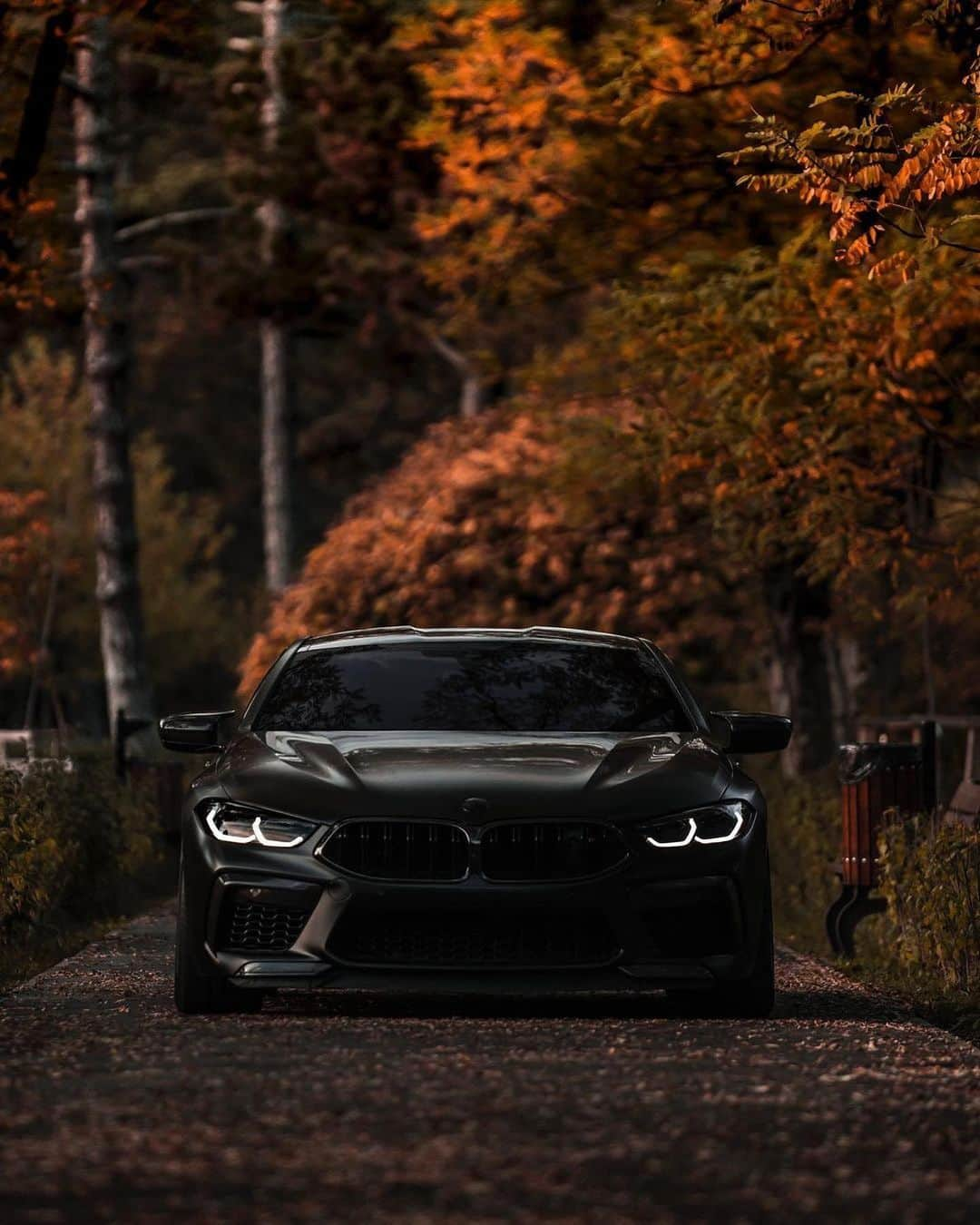 CARLiFESTYLEさんのインスタグラム写真 - (CARLiFESTYLEInstagram)「Stealthy BMW M8 🍂🍁🦃 Photo @zedsly #carlifestyle」11月27日 2時52分 - carlifestyle