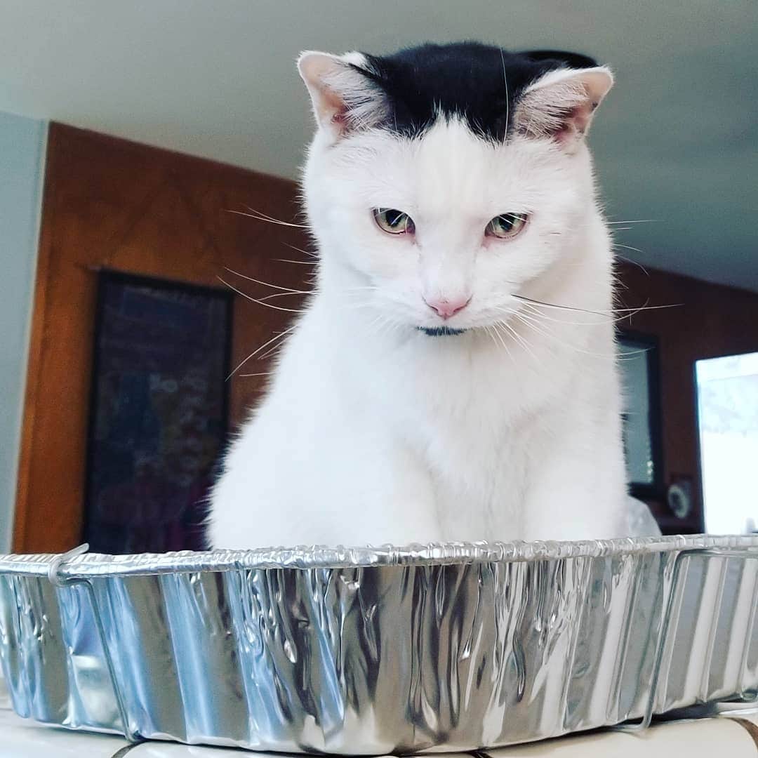 Garyのインスタグラム：「Happy Thanksgiving to everyone except Bob Garraffa」
