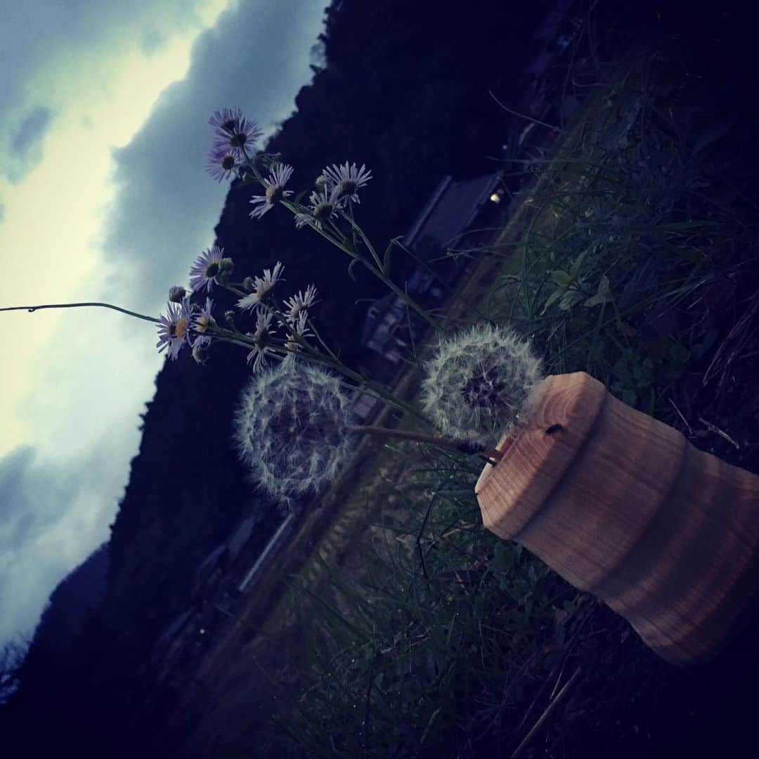 宮田麺児さんのインスタグラム写真 - (宮田麺児Instagram)「たんぽぽのたねが飛び立つ前に 間引いた　廃材から作った　木の花瓶にいけてみた」11月27日 4時24分 - miyatamenji