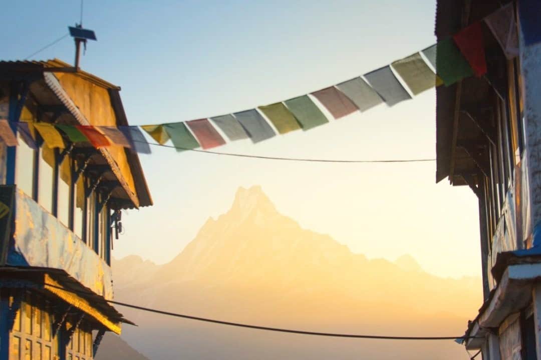 National Geographic Travelさんのインスタグラム写真 - (National Geographic TravelInstagram)「Photo by @emilypolar / Looking past the teahouses at sunrise to sacred Machapuchare on a cool spring morning in the Annapurna region of Nepal. To see more of Nepal and beyond, follow me @emilypolar. #Nepal」11月27日 4時37分 - natgeotravel