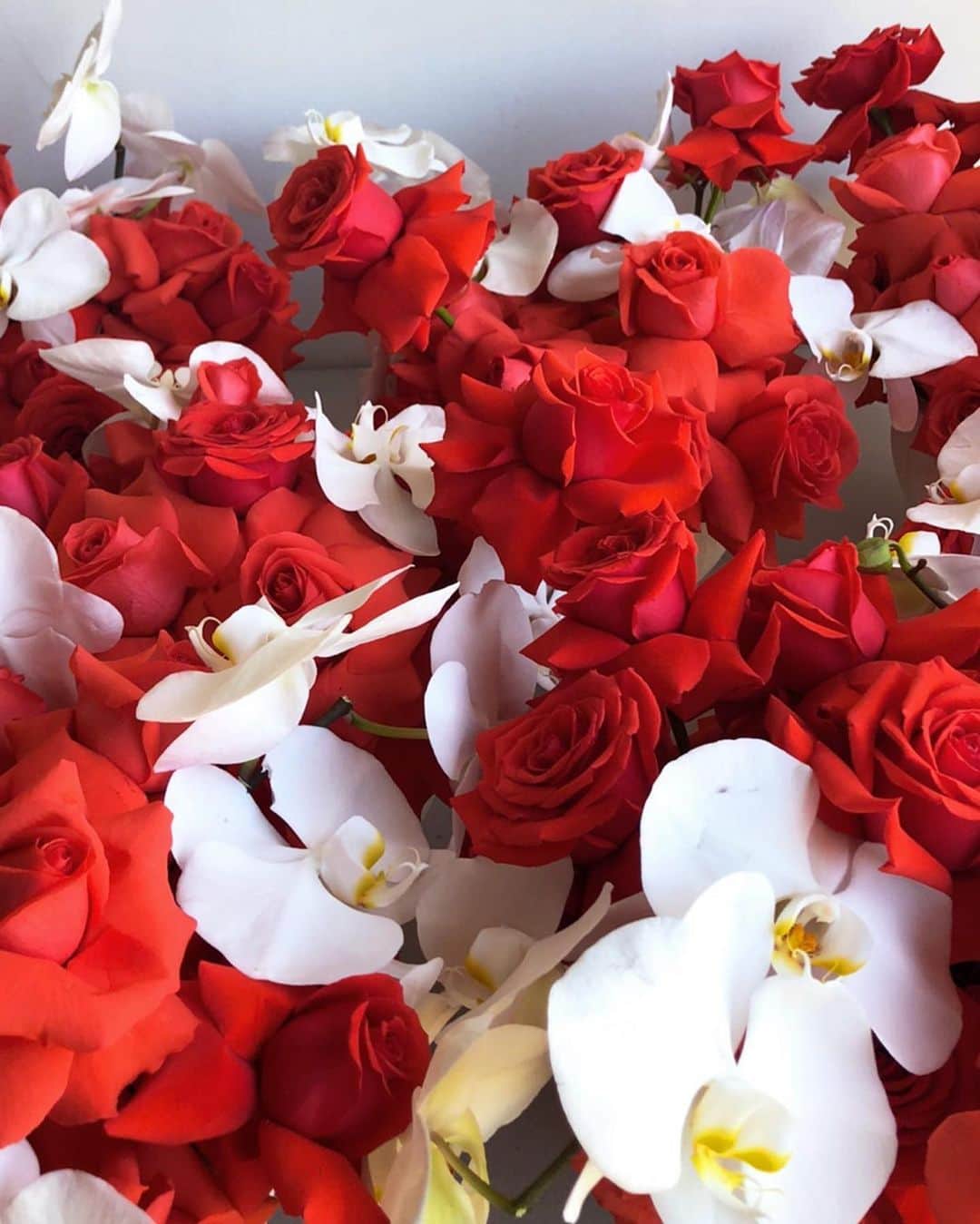 フィービー・トンキンのインスタグラム：「♥️ feeling very grateful today amidst a very strange year. Sending love to you all and your loved ones. Flowers by the impeccable @maximumbloomage (#supportsmallbusinesses)」