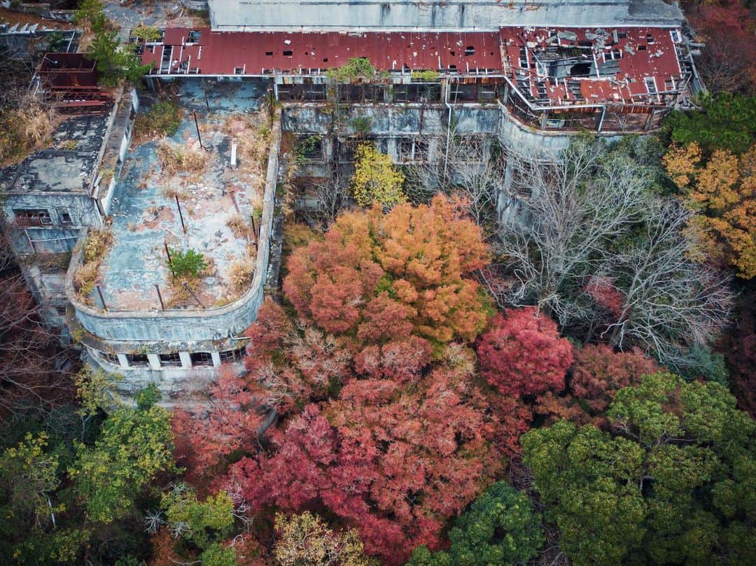 啝 （わ）さんのインスタグラム写真 - (啝 （わ）Instagram)「Abandoned Hotel in Autumn colors 𓆲 𓆲 𓆲 #droneoftheday #djimavicpro #djiglobal #drone #dronephotography #dronestagram #dji #topdronephotos #fromwhereidrone #wedroneasia #droneosoar #skyhilife  #japan_urbex #JJ_URBEX #made_in_decay #kf_urbandonedmasks #KINGS_ABANDONED #m3xtures #Meistershots #moodygrams #nature_takes_over #natures_reclaim #ominous_perfection #pr0ject_uno #rsa_preciousjunk #savethedecay #sfx_decay」11月27日 7時12分 - neji_maki_dori