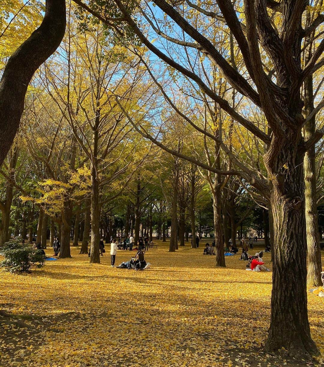 豆柴にこちゃんさんのインスタグラム写真 - (豆柴にこちゃんInstagram)「🐶🍂 おはよー 先週の代々木公園pic。  1枚目はキツネ。  8枚目は地下鉄が通ると 葉っぱが宙に舞うスポット。 子供たちが葉っぱをたくさん乗せて、 舞うのを楽しんでた😆  #柴犬#豆柴#pecoいぬ部#犬#shibastagram#petstagram#犬#犬のいる暮らし#shibainu#dog#mameshiba#pecotv#いぬのきもち部#しばいぬ#しばけん#こいぬ#シバイヌ#狗#ペット#子犬#puppy#pet#시바견#강아지#개#instacute#barked#9gag#9gagpets」11月27日 7時26分 - nikochan.mame48