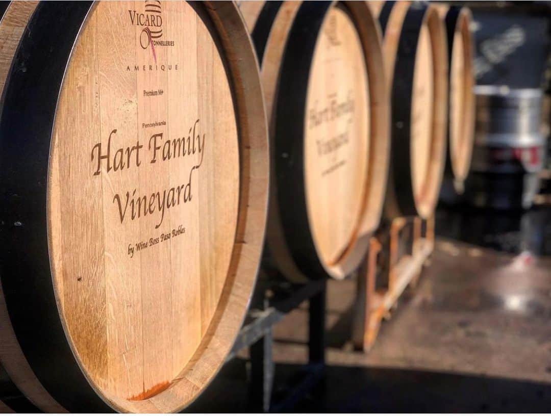 ケビン・ハートさんのインスタグラム写真 - (ケビン・ハートInstagram)「Getting closer....a man of many trades!!!!! Wine is officially in barrel 🕺🏾🕺🏾🕺🏾🕺🏾. So exciting #HartFamilyVineyard」11月27日 7時48分 - kevinhart4real