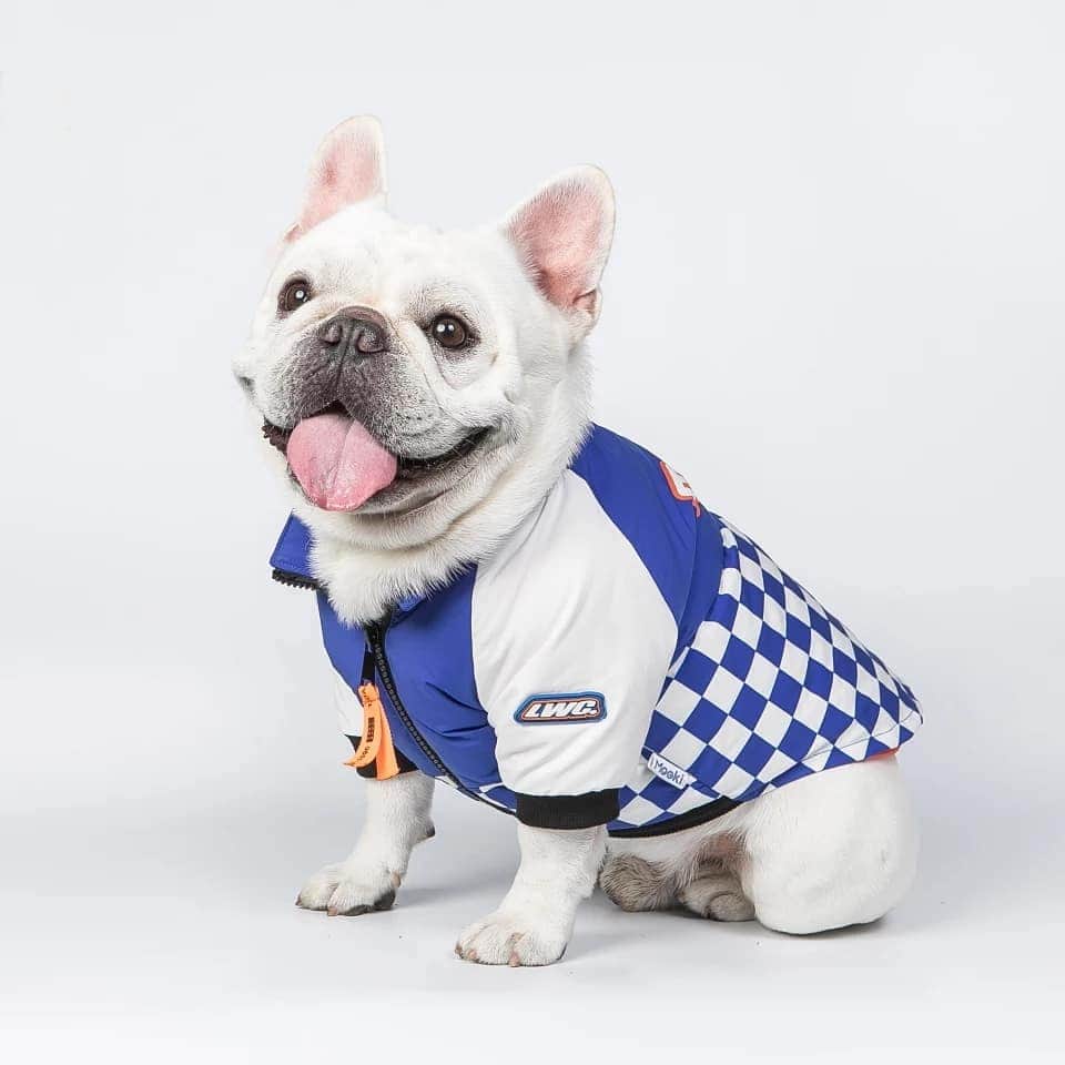French Bulldogさんのインスタグラム写真 - (French BulldogInstagram)「Best French Bulldog Jackets 🌨❄☃️ 🖤 Discount code at checkout: BLACKFRIDAY 🖤 Exclusive in @frenchie.world shop 🛍🛍🛍 👉 LINK IN BIO 🔝 . . . . . #frenchie #frenchies #französischebulldogge #frenchbulldog #frenchbulldogs #dog #dogsofinstagram #frenchieworld #bully #bulldog #bulldogfrances #フレンチブルドッグ #フレンチブルドッグ #フレブル #ワンコ #frenchiesgram #frenchbulldogsofinstagram #ilovemyfrenchie #batpig #buhi #squishyfacecrewbulldog」11月27日 7時52分 - frenchie.world
