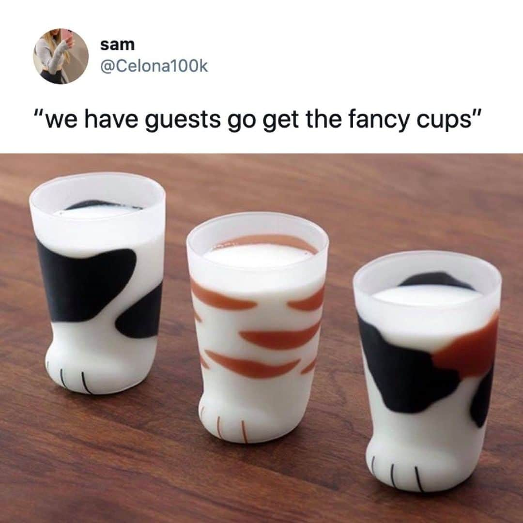 9GAGさんのインスタグラム写真 - (9GAGInstagram)「fancy stuff」11月27日 8時01分 - 9gag