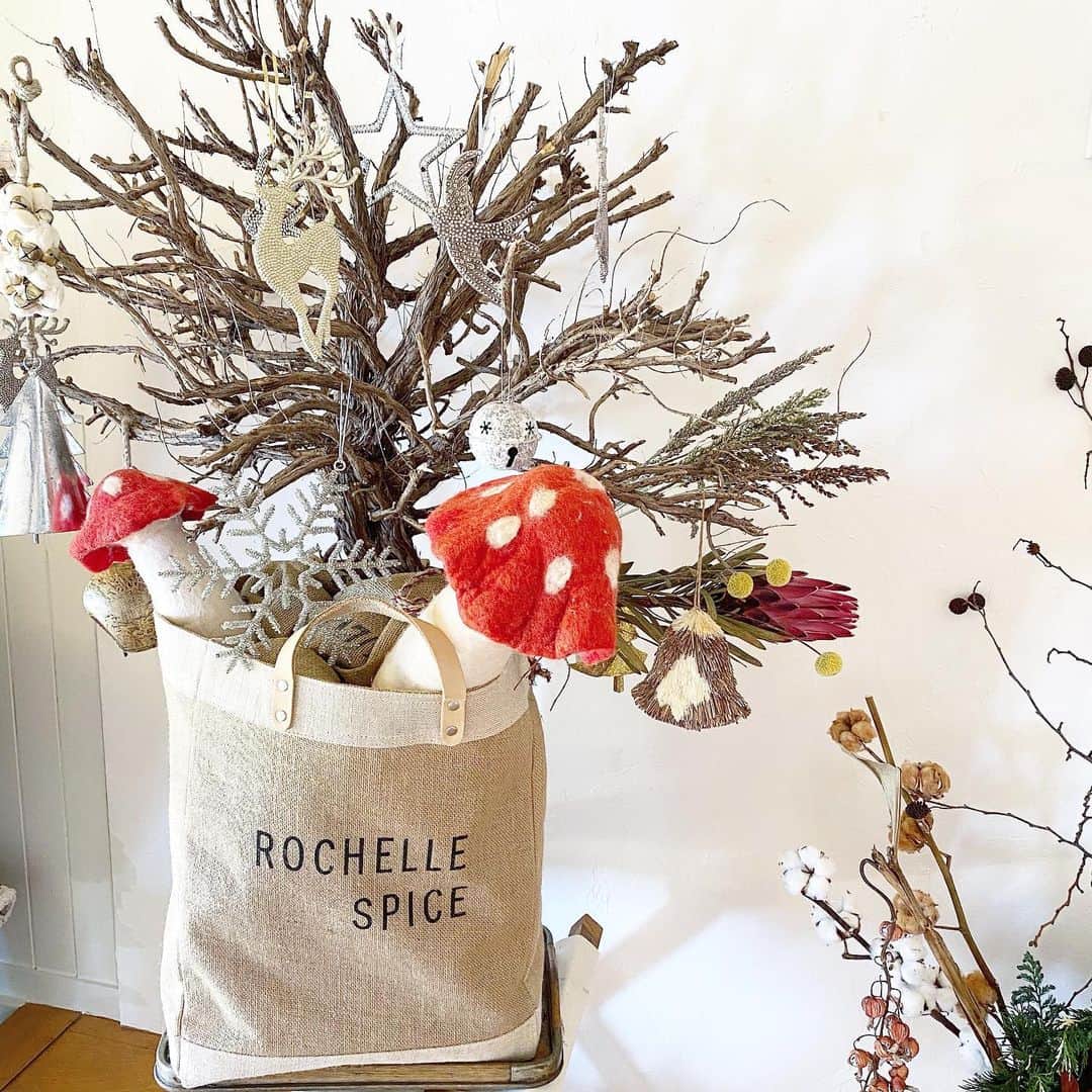 のインスタグラム：「﻿ ﻿ ﻿ ﻿ ﻿ クリスマスって一番好きなイベント🎄﻿ ﻿ ﻿ ﻿ ﻿ 今年はお家でクリスマスパーティーしたり﻿ ディズニー行ったり過去最高のクリスマスになりそう🎁﻿ ﻿ ﻿ ﻿ ﻿ 大好きなカシュと行くんだ😘﻿ 楽しみすぎてハゲそうww﻿ ﻿ ﻿ ﻿ ﻿ #クリスマス計画」