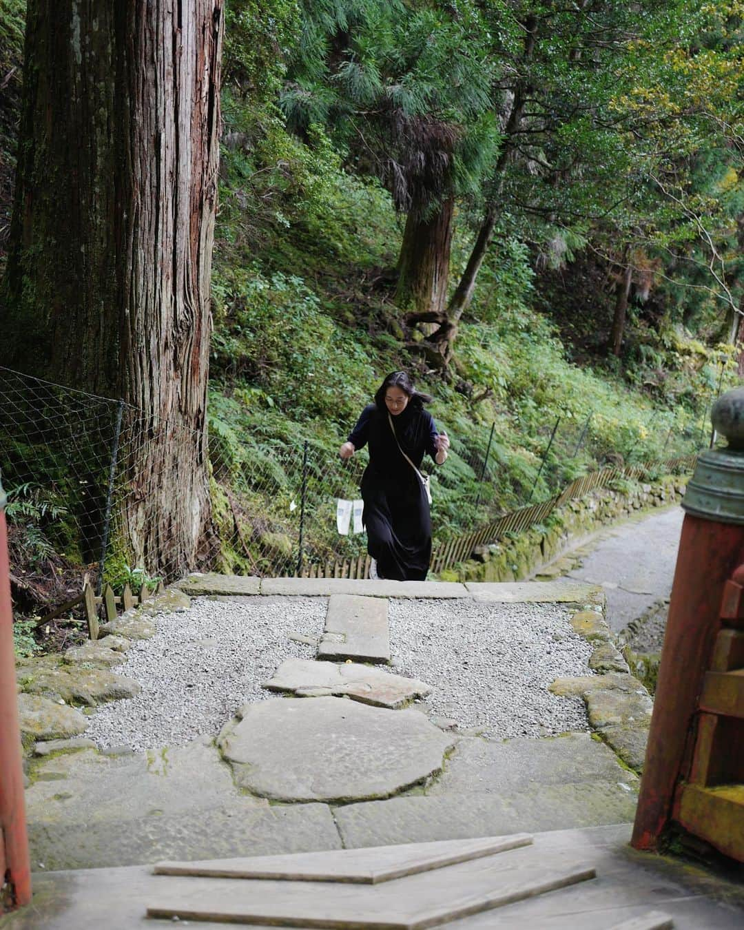 行方 久子 Hisako Namekataさんのインスタグラム写真 - (行方 久子 Hisako NamekataInstagram)「. 先日の室生寺。  境内地図では奥の院が雲の上になっていたけれど、 「ん？ま、行ってみようか」 なんて軽い気持ちで歩き始めたら階段400段は軽くあったな。。。  走ったり、ばてたり.....天然記念物のシダを眺めたり なかなか楽しく登りました。  今日は祖母の93歳のお誕生日。 朝起きたら、この階段を思い出した。」11月27日 8時28分 - hisakonamekata