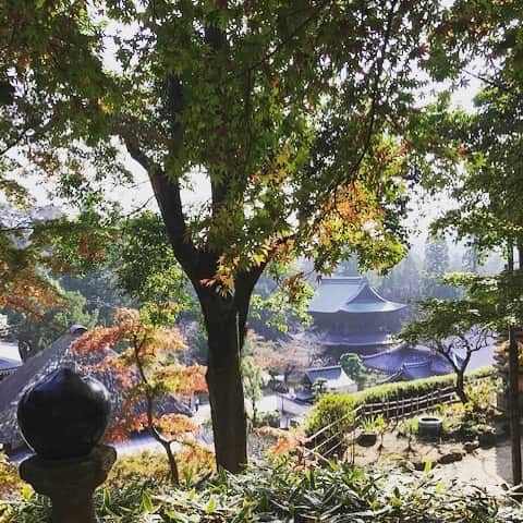 岡まゆみのインスタグラム：「紅葉の始まった北鎌倉🍁円覚寺の龍隠庵にて書道のお稽古でした。前日の冷たい雨が信じられないほどほんわか日和。良き日になりにけり〜♬#北鎌倉＃円覚寺＃書道#紅葉#岡まゆみ」