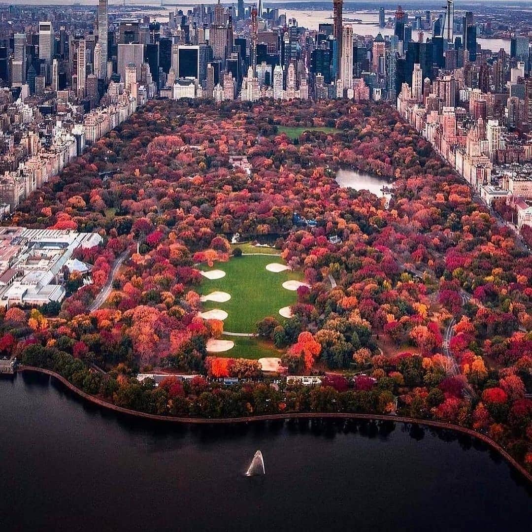 Padgramさんのインスタグラム写真 - (PadgramInstagram)「Absolutely stunning images of New York Central Park in autumn and winter season by @craigsbeds 📷 💠💠💠 #pgdaily #pgstar #pgcounty #newyorkcity #planetgo #planet #planetearth #amazing #awesome #newyork #winterseason」11月27日 9時19分 - planet.go