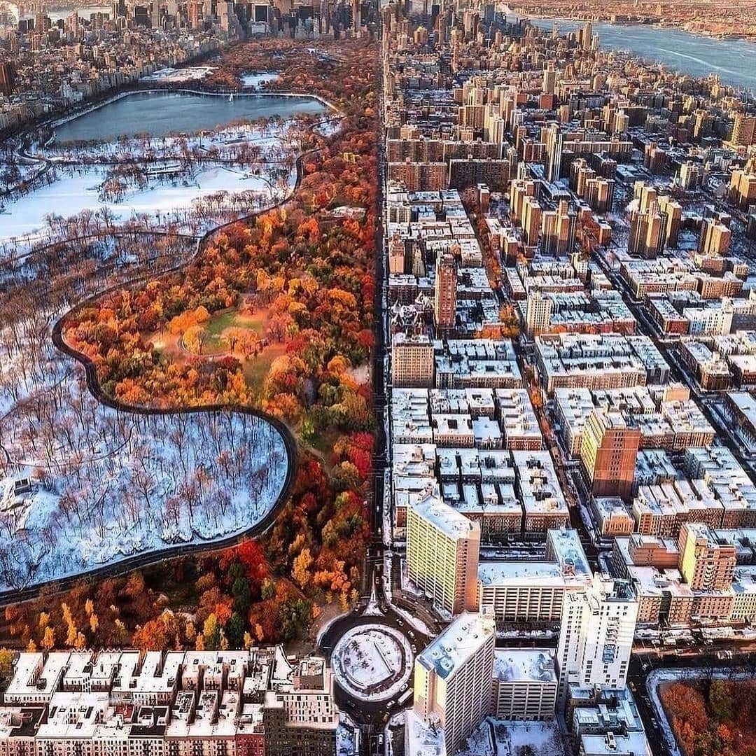 Padgramさんのインスタグラム写真 - (PadgramInstagram)「Absolutely stunning images of New York Central Park in autumn and winter season by @craigsbeds 📷 💠💠💠 #pgdaily #pgstar #pgcounty #newyorkcity #planetgo #planet #planetearth #amazing #awesome #newyork #winterseason」11月27日 9時19分 - planet.go