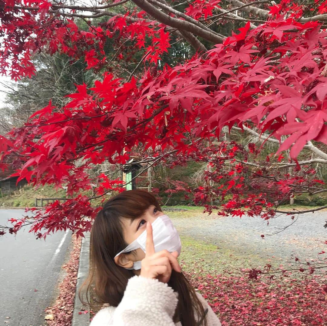 須賀由美子さんのインスタグラム写真 - (須賀由美子Instagram)「おはよう♡ 今朝は那珂川町 乾徳寺で 早朝座禅してきたよ！！ 人生初‼️  座禅中は煩悩だらけだったけど、 終わった後、 景色の綺麗さが飛び込んできた。  #那珂川町 #飯塚邸 #女子旅」11月27日 9時19分 - tottiyumi