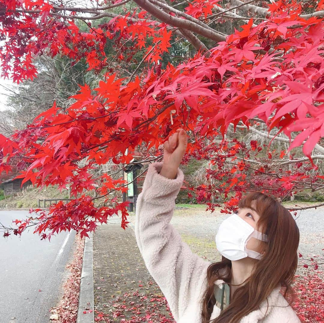 須賀由美子さんのインスタグラム写真 - (須賀由美子Instagram)「おはよう♡ 今朝は那珂川町 乾徳寺で 早朝座禅してきたよ！！ 人生初‼️  座禅中は煩悩だらけだったけど、 終わった後、 景色の綺麗さが飛び込んできた。  #那珂川町 #飯塚邸 #女子旅」11月27日 9時19分 - tottiyumi