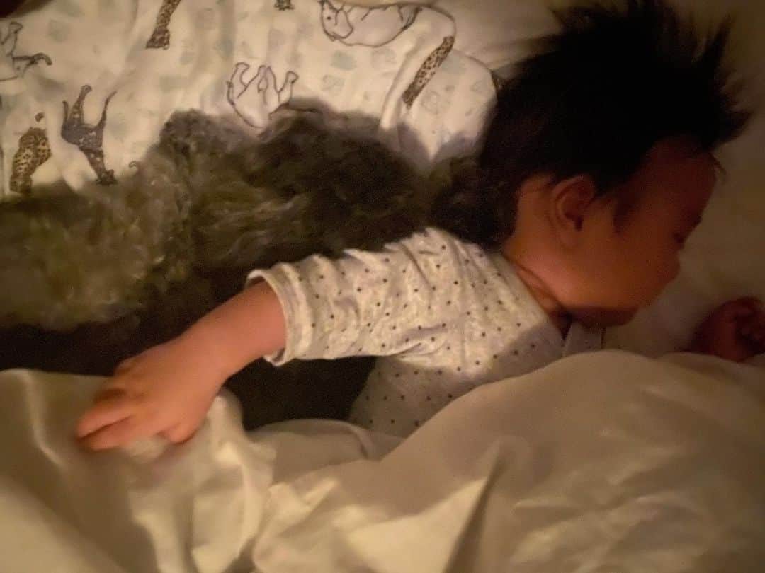 Mai Wakimizuのインスタグラム：「夜中お手洗いで起きて部屋に戻ると、私の足元で寝てたカプリがすかさず息子の隣に移動。笑 2人の様子をしばらく見ていると、ぴったりくっついて仲良く寝てた♡(おくるみの上に寝るのは息子のはずがカプリが寝てる。笑)暑がりの息子は、カプリ湯たんぽで汗だくになっていたけど。笑 たまらん2ショットでした♡ #赤ちゃんと犬#愛犬カプリ#生後4ヶ月」