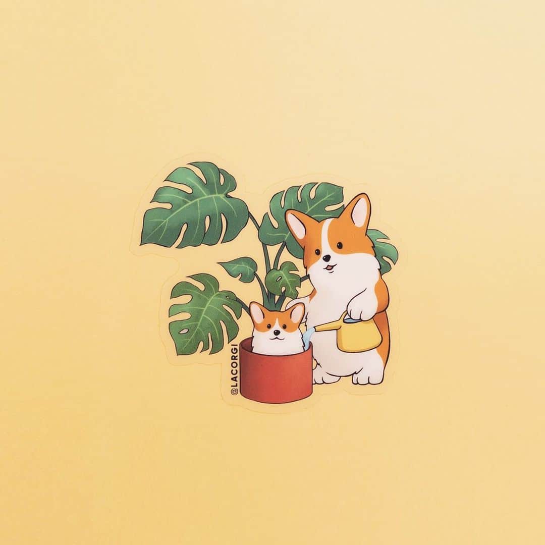 Geordi La Corgiさんのインスタグラム写真 - (Geordi La CorgiInstagram)「Happy Thanksgiving friends! 📣 We are doing a giveaway of our new clear vinyl houseplant corgi stickers!⁣⁣ ⁣⁣ To enter, tag a friend in the comments. We will announce 10 winners tomorrow in our IG stories! ☺️」11月27日 9時30分 - lacorgi