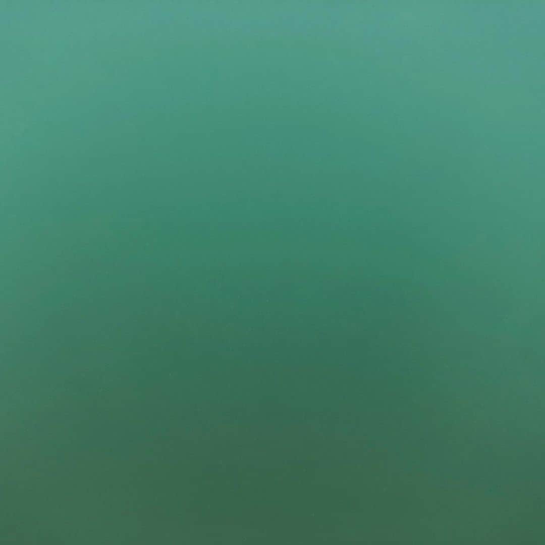 鎌田紘子さんのインスタグラム写真 - (鎌田紘子Instagram)「わいと泳いだイルカと、海の中の視界のわるさ、 . . . #イルカ  #恐怖」11月27日 9時43分 - hirokokamata12