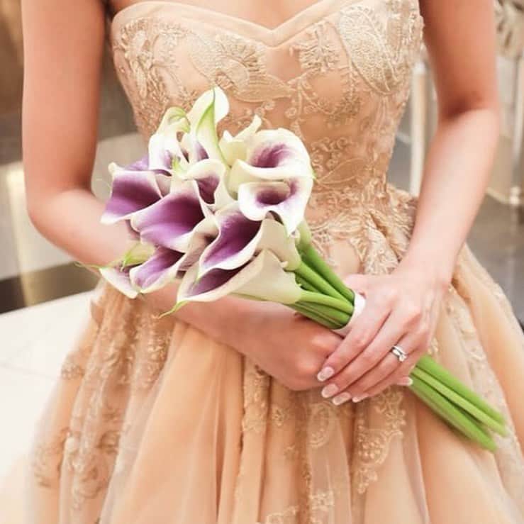 ベストブライダル公式のグルメインスタ