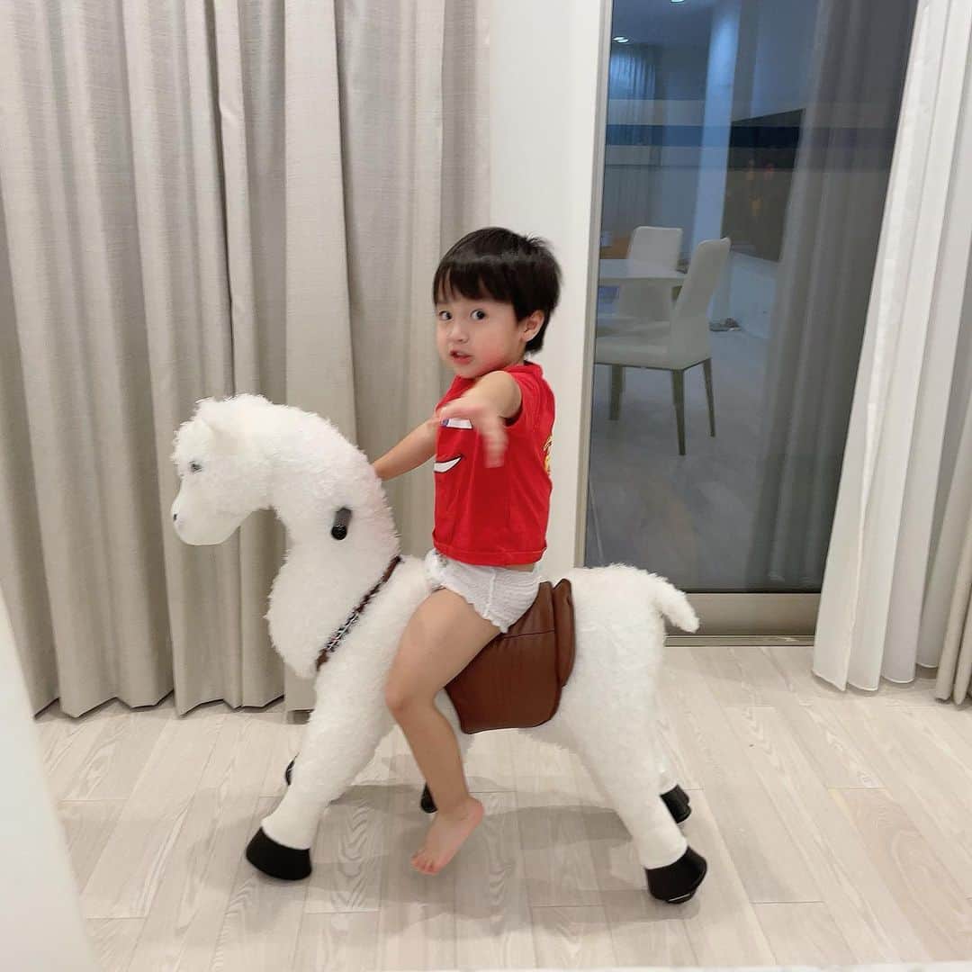 のインスタグラム：「王子様🤴  #白馬飼ったよ #オムツ一丁の王子様」