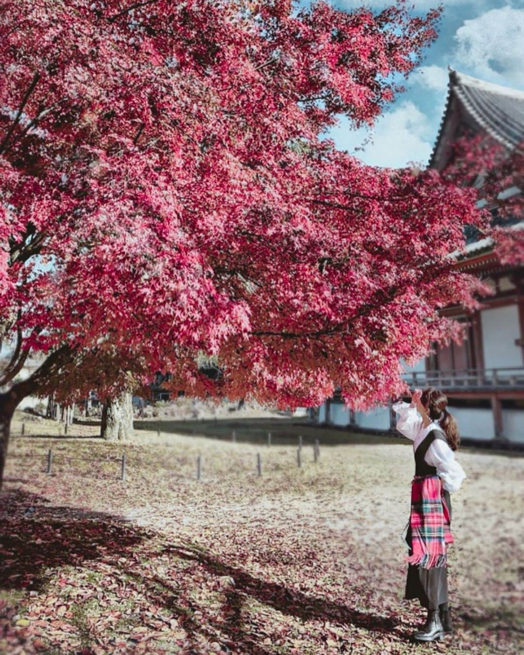 Yukicoのグルメインスタ