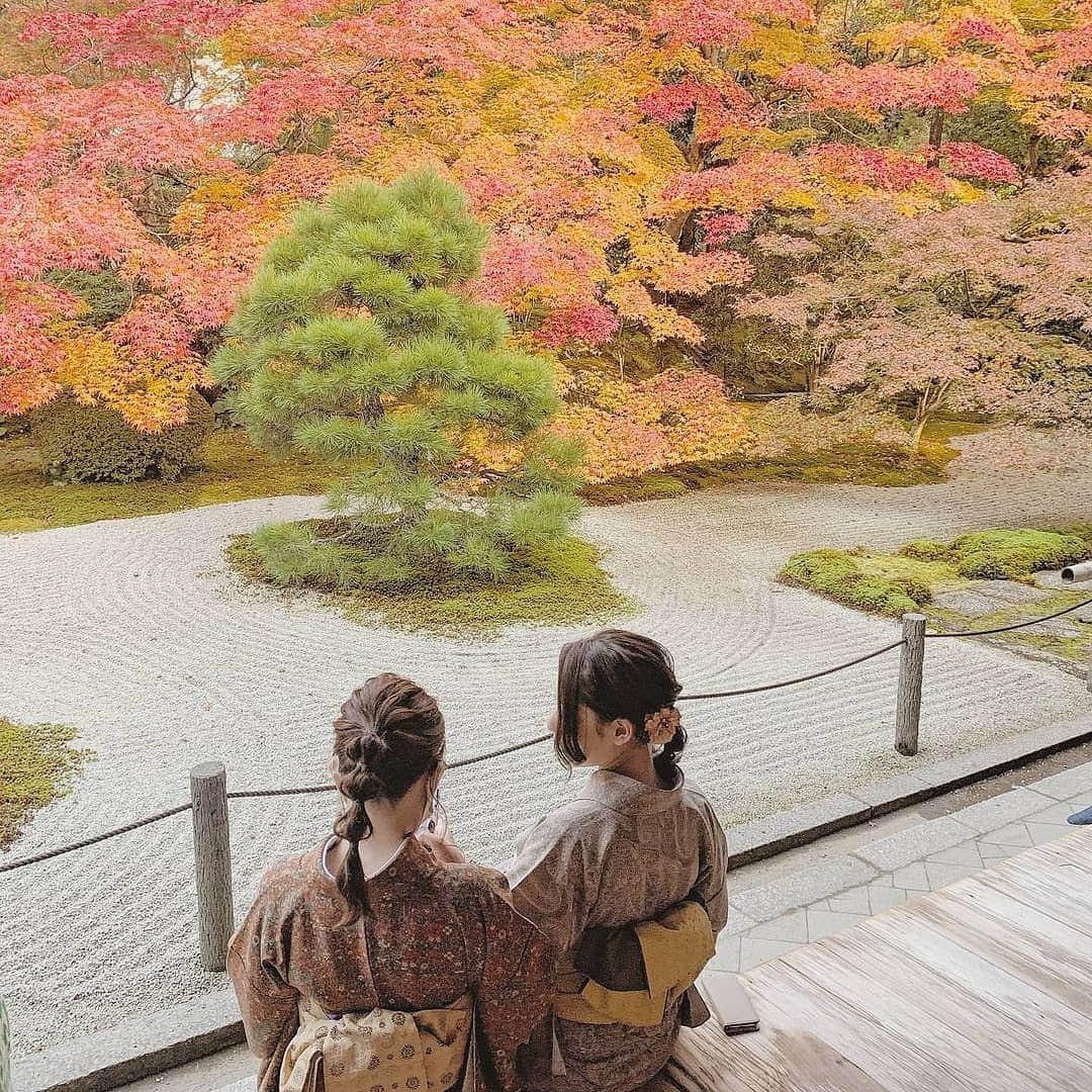 【JTB】マイトリ公式アカウントさんのインスタグラム写真 - (【JTB】マイトリ公式アカウントInstagram)「＼今日のマイトリ 💛／  @marukochim さんの #日本 #京都府 でのお写真📷✨  今回ご紹介するお写真は、 秋の京都の魅力が詰まった風情ある一枚🍁🤎  紅葉したもみじが彩る日本庭園の美しさにため息が出ちゃう🥰🍁 オシャレな着物も風情を感じるね👘✨ たくさん写真を撮りたくなっちゃう🤭🤭  秋の京都はどこもステキ😌🍵💕  🌐 日本 📍 京都府 / 京都市 🏷 #南禅寺  みんなの#マイトリ もcheckしてみてね💫  マイトリサイトには、海外、国内の女子旅情報をUPしています❣️ URLから、是非チェックしてみてください😚  #JTB #JTBで旅がしたい #京都 #京都市 #そうだ京都行こう #寺 #お寺 #寺社仏閣 #お寺巡り #パワースポット  #天授庵 #おみくじ #フォトジェニック #京都旅行 #京都旅 #京都観光 #京都女子旅 #京都女子旅行 #女子旅行 #女子旅 #国内旅行 #traveler #girlstrip #旅行 #GirlsWhoTravel #girlaroundworld」11月27日 19時37分 - jtb.mytrip
