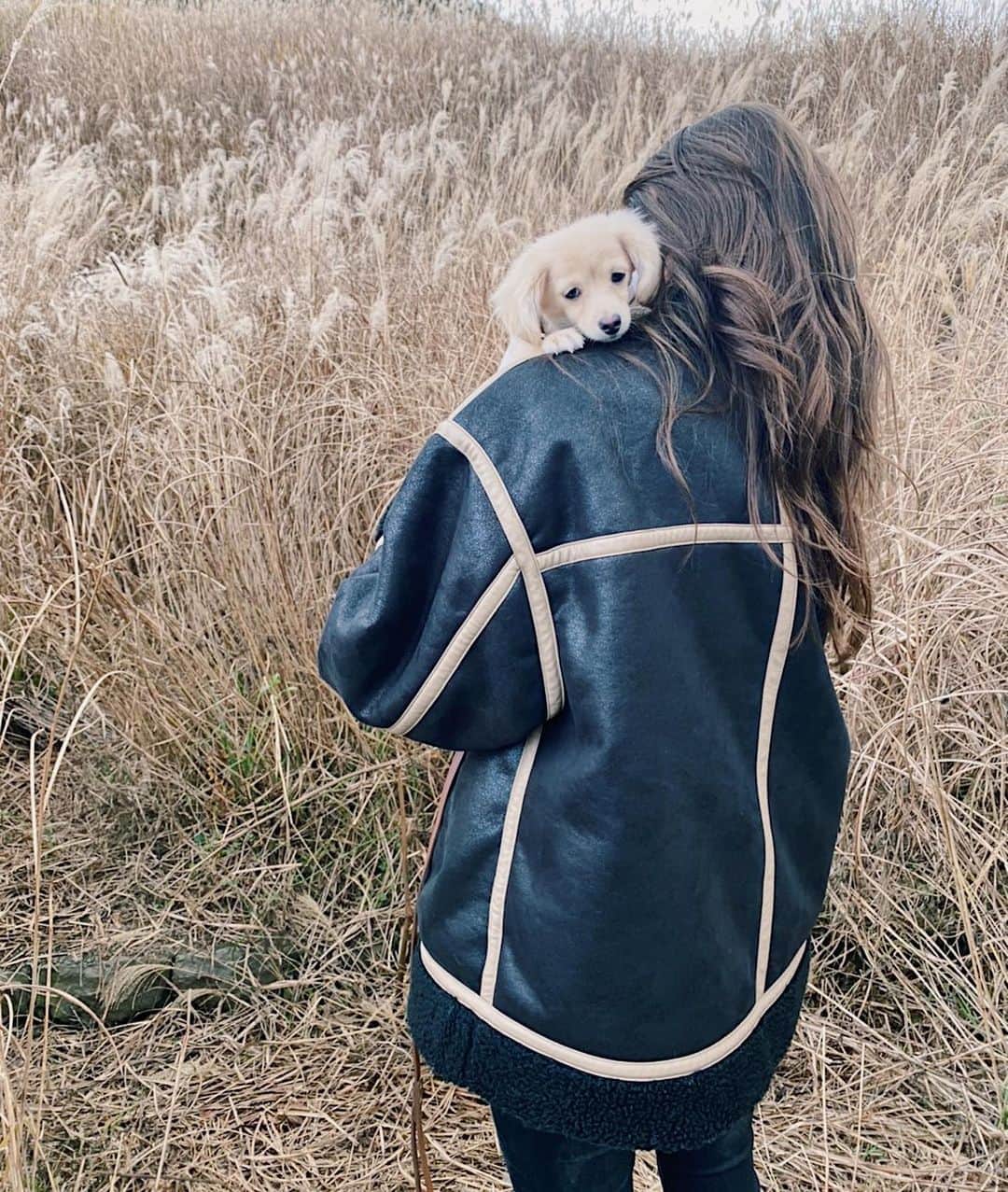 佐々木彩乃のインスタグラム：「週末箱根旅🐶❤️ 寒い箱根でも @evris_official のB-3で暖かく快適に過ごせました😹 膝の上で寝るsoyが愛おしすぎてずっと写真撮ってたわ🤣」