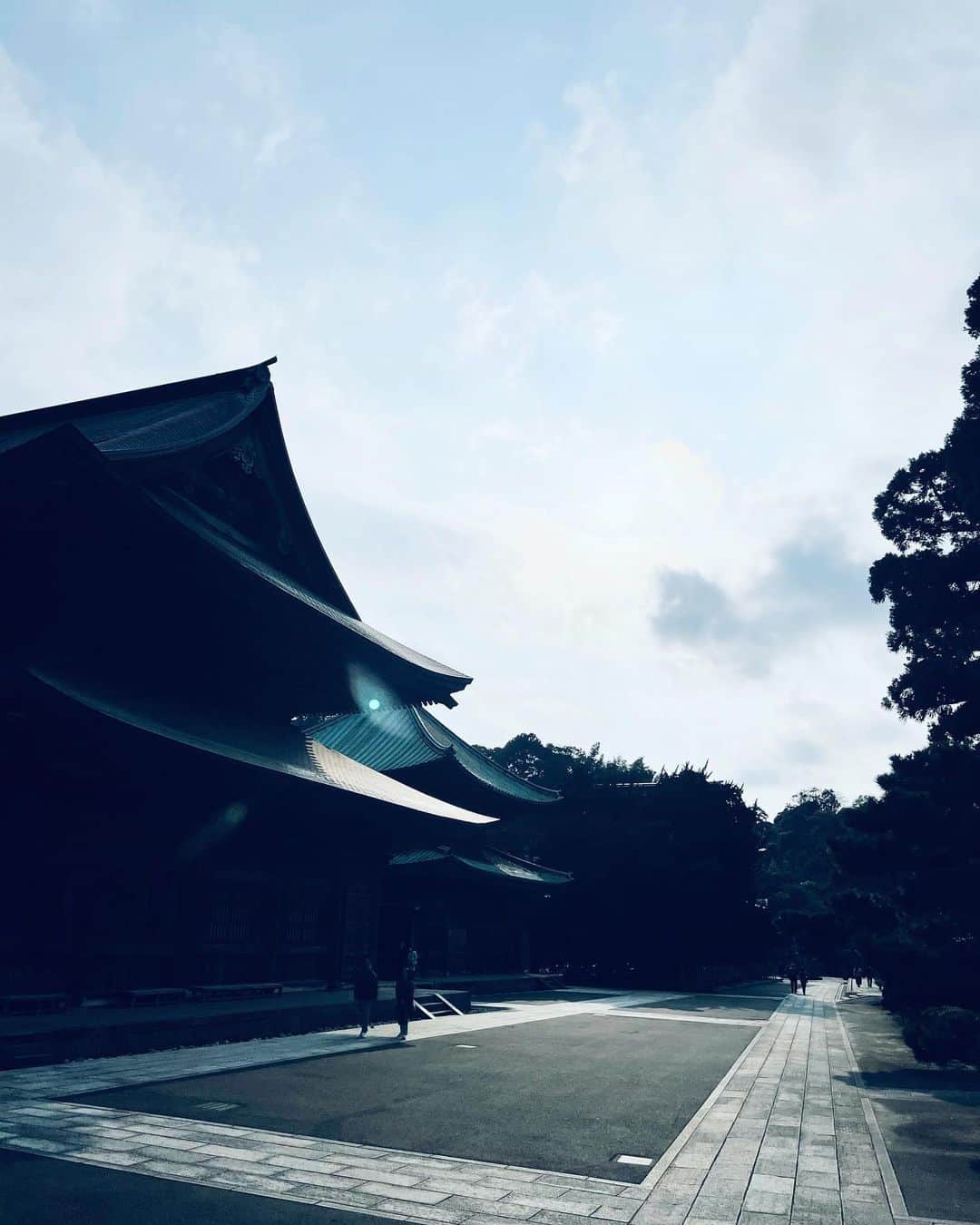 白木夏子さんのインスタグラム写真 - (白木夏子Instagram)「きりっとした空気も、湿り気のある風の匂いも、もう既に冬の気配。」11月27日 19時42分 - natsukoshiraki