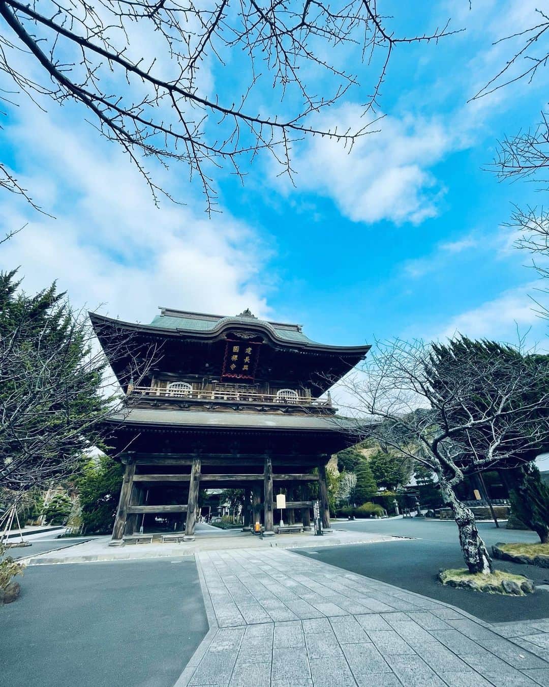 白木夏子さんのインスタグラム写真 - (白木夏子Instagram)「きりっとした空気も、湿り気のある風の匂いも、もう既に冬の気配。」11月27日 19時42分 - natsukoshiraki
