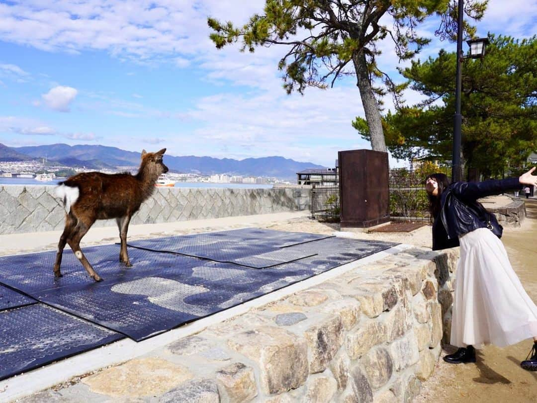 段原瑠々さんのインスタグラム写真 - (段原瑠々Instagram)「みやじマリン🐬  宮島には水族館もあるよ 鹿さんもたくさんいるよ〜 かわいいです☺️  #juicejuice #段原瑠々 #宮島 #続くこのシリーズ #写真たくさん #撮ってもらったけん」11月27日 20時35分 - ruru_dambara.official