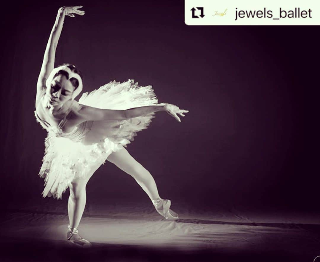 上野水香さんのインスタグラム写真 - (上野水香Instagram)「#Repost @jewels_ballet with @make_repost ・・・ 上野水香　Mizuka Ueno  「チャリティ写真集 ”Jewels”」12/21発売！ 予約受付中。 初回限定版500部限定。  本写真集の売り上げからトゥシューズ100足を寄付するJewelsトゥシューズファウンデーションを行ないます。 詳しくはプロフィールにあるHPのURLからお願いします。  #ballet #バレエ #ballerina #バレリーナ #上野水香　#中村祥子 #石井久美子　#横山瑠華 #写真集 #トゥシューズファウンデーション #Jewels #ジュエルズ」11月27日 20時29分 - mizukaueno