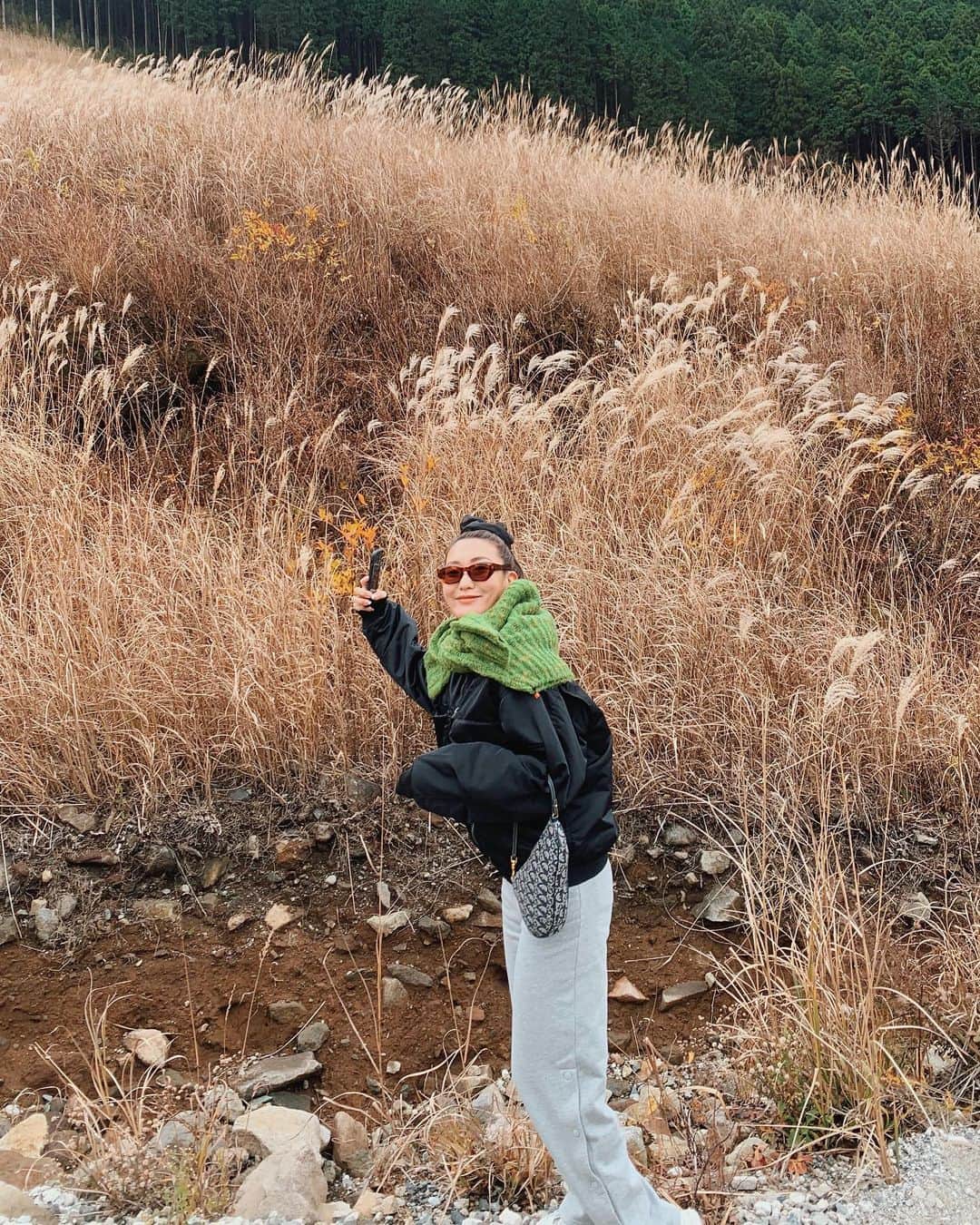 小竹麻美さんのインスタグラム写真 - (小竹麻美Instagram)「すすき散歩🍂  #seesbees 🐝　 #箱根」11月27日 20時31分 - asamikotake
