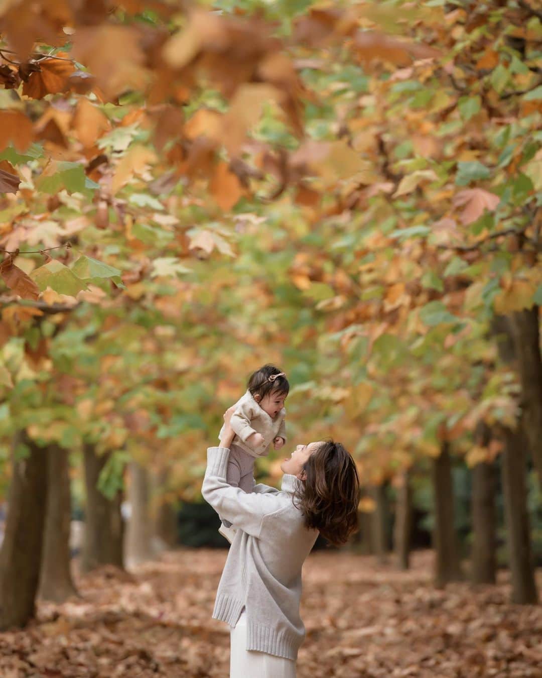 大橋菜央さんのインスタグラム写真 - (大橋菜央Instagram)「Autumn leaves carnival🥳﻿ ﻿ ﻿ ﻿ 秋色に包まれていた新宿御苑﻿ 中でもプラタナス並木の美しさと楽しさは格別🍁﻿ ﻿ 大きな落ち葉の上をザクザクと音を立てながら歩いたり飛び跳ねたり🧒🏻﻿ ﻿ まだまだちびっ子Annとの写真も残せて嬉しかったなぁ🥺♡﻿  ﻿ ﻿ ﻿special thanks to @chihiro_photographer  #手作りシューズ履いてみたよ﻿ #手のグーたまらん✊﻿ #高い高いが大好き﻿ ﻿ #生後5ヶ月 #5monthsold #ベビー服 #5月28日生まれ #えくぼちゃん #ハーフベビー #令和ベビー」11月27日 20時34分 - naoliving