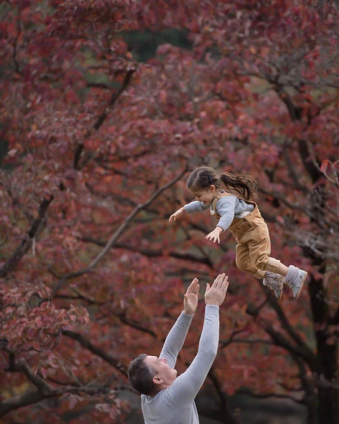 大橋菜央さんのインスタグラム写真 - (大橋菜央Instagram)「パパにしかできない高い高い🙌  #高すぎ #浮いてる   Miaは @chihiro_photographer CHIHIROさんが大好きで撮影後半は脚にずっとくっついて 撮影アシスタントのようになっていた🤣  #Repost @ebisu4 ・・・ Mia flying amongst the autumn leaves... thanks to @chihiro_photographer #shinjukugyoen #naoliving #miababyliving #autumncolors」11月27日 20時39分 - naoliving