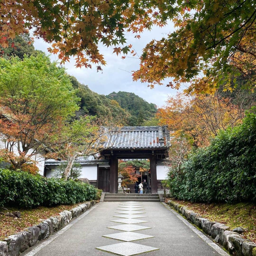 本郷多香子のグルメインスタ