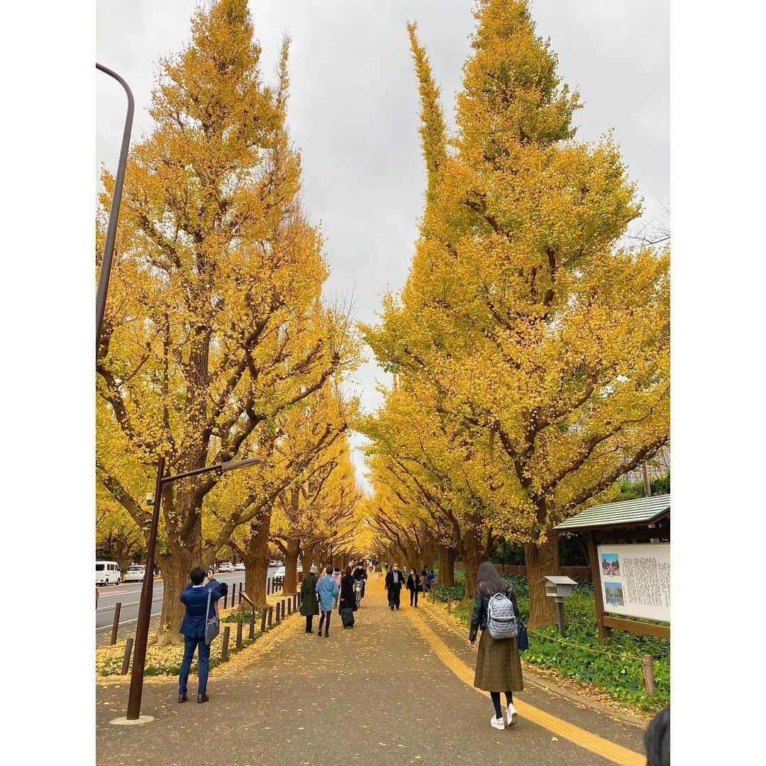 木村拓也のインスタグラム：「. 神宮外苑の銀杏並木が綺麗〜  今週もお疲れ様でした！  #イット！ #神宮外苑 #銀杏並木」