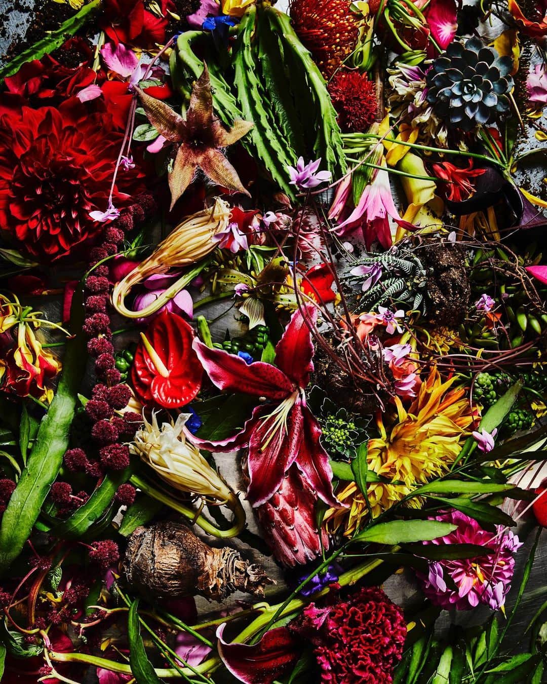 東信のインスタグラム：「Flowers #amkk #amkkproject #makotoazuma #azumamakoto #東信花樹研究所 #東信 #jardinsdesfleurs #shiinokishunsuke #flowerart #flower #flowers」