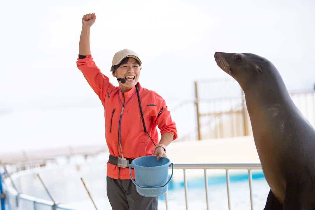 【公式】福岡ECO動物海洋専門学校さんのインスタグラム写真 - (【公式】福岡ECO動物海洋専門学校Instagram)「先日、卒業生に会いに #マリンワールド海の中道 へ #ラッコ の飼育員の卒業生をパシャり🦦📸  そしてなんと‼️ 卒業生たちが急遽、アシカショーに登場してくれました😆  粋なはからい✨ さすがプロのトレーナーですね😉 #福岡eco #福岡eco動物海洋専門学校 #海獣 #海獣トレーナー #水族館 #アシカショー #アシカ #卒業生」11月27日 12時00分 - fukuokaeco
