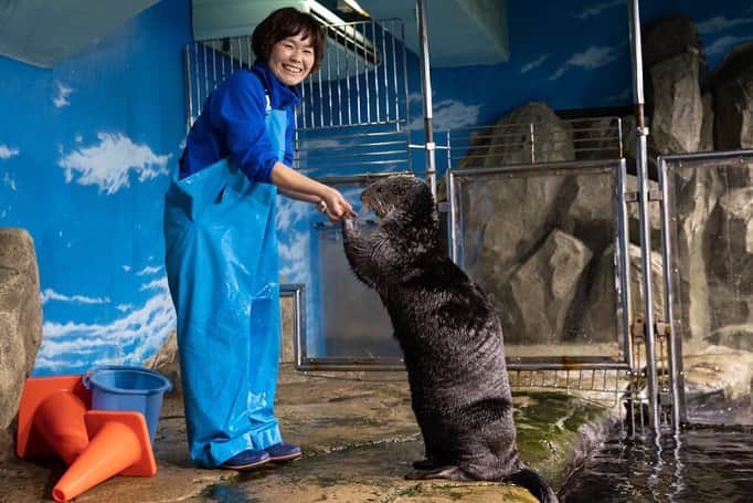 【公式】福岡ECO動物海洋専門学校さんのインスタグラム写真 - (【公式】福岡ECO動物海洋専門学校Instagram)「先日、卒業生に会いに #マリンワールド海の中道 へ #ラッコ の飼育員の卒業生をパシャり🦦📸  そしてなんと‼️ 卒業生たちが急遽、アシカショーに登場してくれました😆  粋なはからい✨ さすがプロのトレーナーですね😉 #福岡eco #福岡eco動物海洋専門学校 #海獣 #海獣トレーナー #水族館 #アシカショー #アシカ #卒業生」11月27日 12時00分 - fukuokaeco