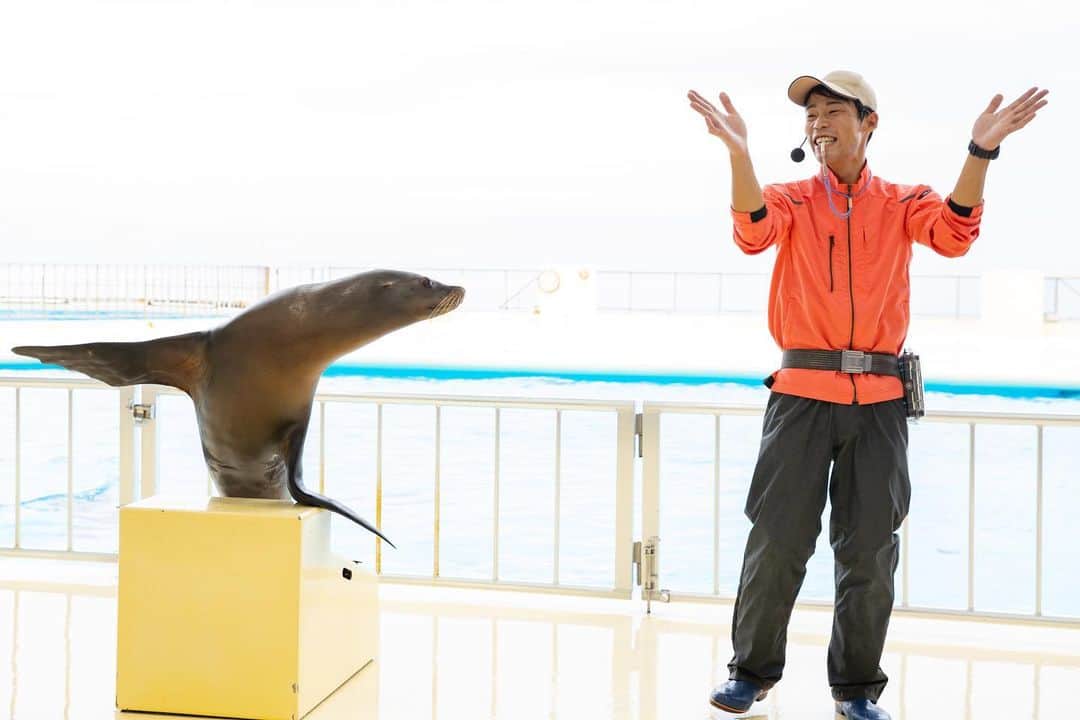 【公式】福岡ECO動物海洋専門学校さんのインスタグラム写真 - (【公式】福岡ECO動物海洋専門学校Instagram)「先日、卒業生に会いに #マリンワールド海の中道 へ #ラッコ の飼育員の卒業生をパシャり🦦📸  そしてなんと‼️ 卒業生たちが急遽、アシカショーに登場してくれました😆  粋なはからい✨ さすがプロのトレーナーですね😉 #福岡eco #福岡eco動物海洋専門学校 #海獣 #海獣トレーナー #水族館 #アシカショー #アシカ #卒業生」11月27日 12時00分 - fukuokaeco