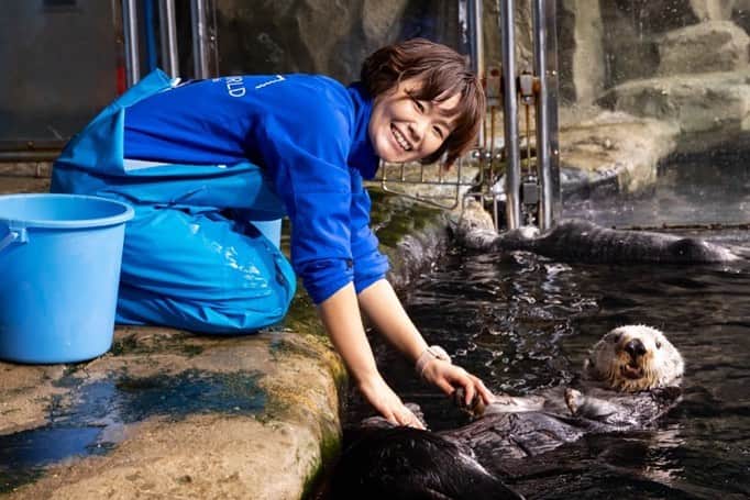 【公式】福岡ECO動物海洋専門学校さんのインスタグラム写真 - (【公式】福岡ECO動物海洋専門学校Instagram)「先日、卒業生に会いに #マリンワールド海の中道 へ #ラッコ の飼育員の卒業生をパシャり🦦📸  そしてなんと‼️ 卒業生たちが急遽、アシカショーに登場してくれました😆  粋なはからい✨ さすがプロのトレーナーですね😉 #福岡eco #福岡eco動物海洋専門学校 #海獣 #海獣トレーナー #水族館 #アシカショー #アシカ #卒業生」11月27日 12時00分 - fukuokaeco