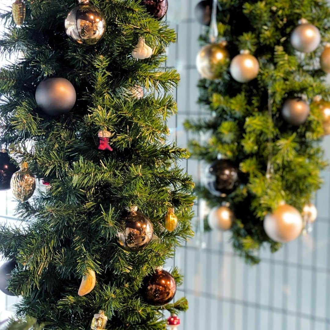 のインスタグラム：「. 壁や暖炉まわりのデコレーションに使われるクリスマスガーランド。 . オーナメントやイルミネーションライトとの組み合わせなど、アレンジ次第で様々な用途に。折りたたんでまとめて、吊り下げ式のツリーのようにも使えます。 . www.livingmotif.com #livingmotif #リビングモティーフ #store #roppongi #tokyo #interior #クリスマス #Xmas #christmas #christmasdecoration #クリスマスデコレーション」