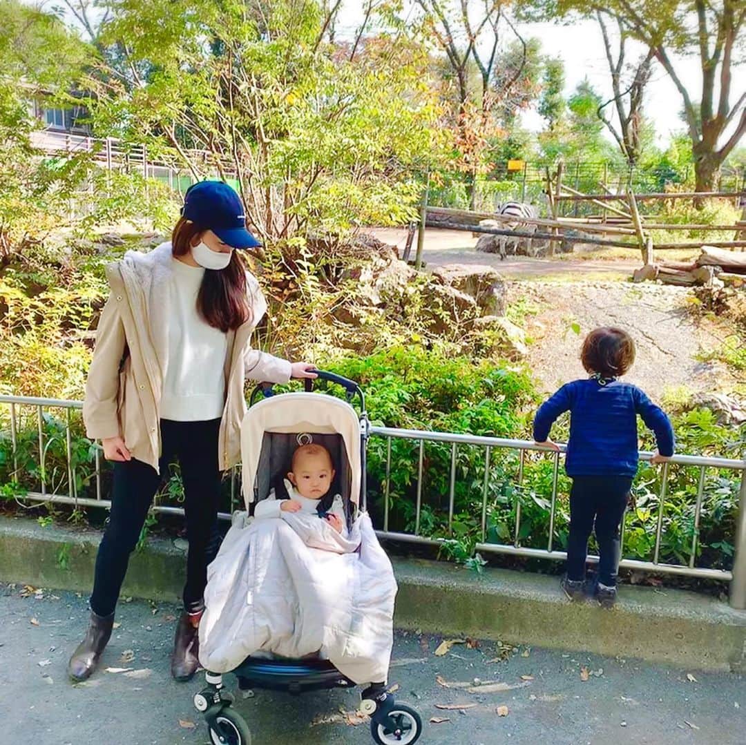 花田浩菜のインスタグラム：「子供たちを連れて#羽村市動物公園 へ✨ 子供とのお出かけの日って最近超カジュアル。 キャップさえ被っておけば日差しも避けられるし最近少しずつ増えています🧢❤️ . . ネイビーのキャップは @calvinklein のもの🧢 アマゾンファッション @amazonfashionjp  で購入しました😊！ 12月1日までブラックフライデー・サイバーマンデーでセールを開催しているのでお得にお買い物ができるそう❤️ 子供の靴などもお得だったので私もチェックしてます🙆‍♀️✨ . . @amazonfashionjp #カルバンクライン #calvinklein #BlackFriday #ブラックフライデー #amazonで発見 #amazonfashionjp #Amazon #PR #ママコーデ #家族でお出かけ #2歳差育児 #2歳差ママ #赤ちゃんのいる生活 #2歳差兄妹 #兄妹ママ #ootd #l4l #happy #happydays」