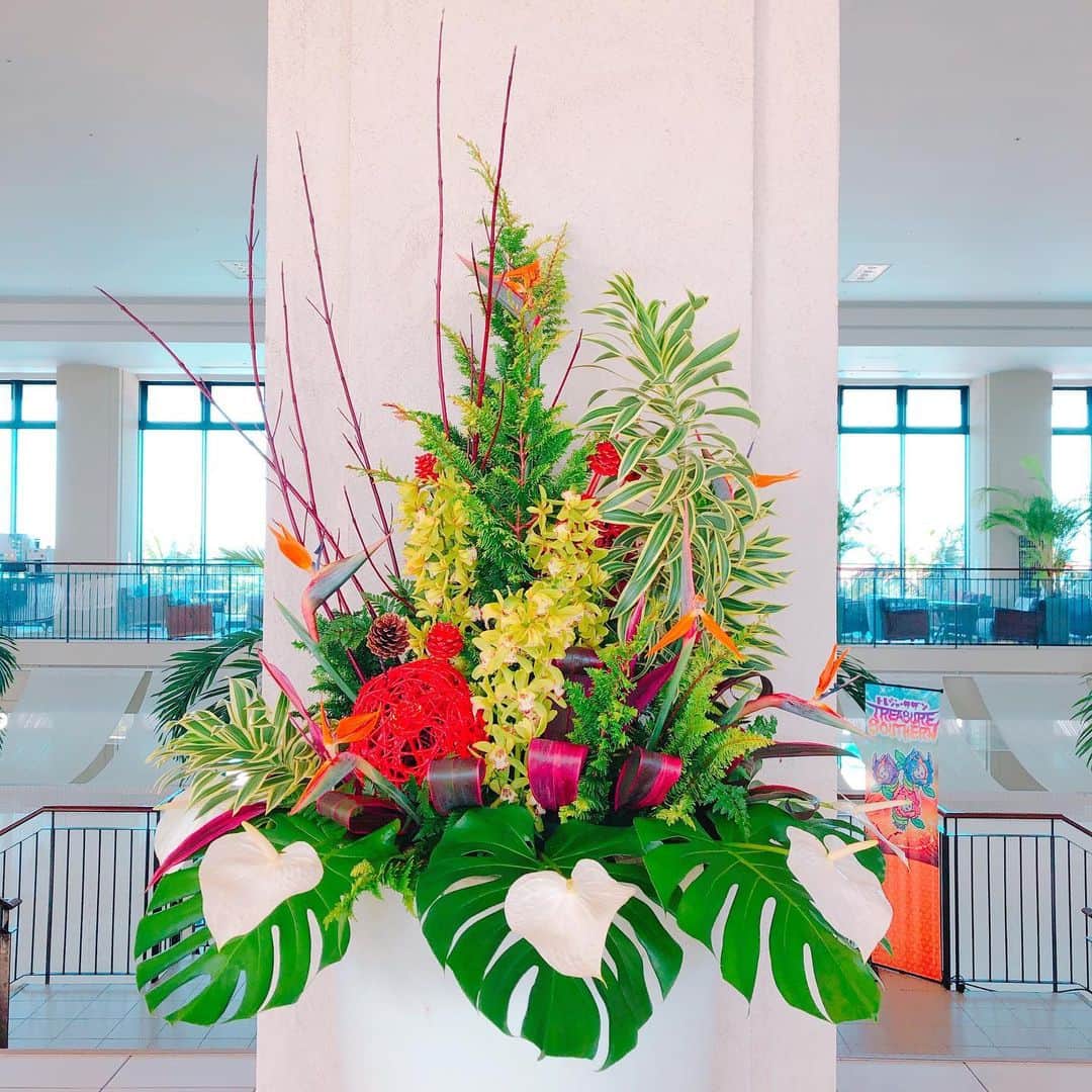 サザンビーチホテル＆リゾート沖縄さんのインスタグラム写真 - (サザンビーチホテル＆リゾート沖縄Instagram)「. 💐今週のロビーのお花💐  シャンデリアーナ、オウゴンヒバ、 シンビジューム、アンスリューム、 松ぼっくり。  2階フロント前の水槽も、 皆んな元気に出迎えてくれます🐟🐠 （2.3枚目ヒレナガハギ）  今日は天気がいい🌞！ 皆さま糸満へ遊びにきてください🤗 . 💐This week's lobby flowers💐  Chandeliana,  Symbidium, Anthumes, and Pinecones.  The tank in front of the front desk on the second floor also welcomes everyone cheerfully.🐟🐠  It's a beautiful day🌞! Come to Itoman.🤗  . . #サザンビーチホテル #沖縄 #沖縄旅行 #糸満  #南国リゾート #沖縄好きな人と繋がりたい #自然 #nature #southernbeachhotel #okinawa #okinawatrip  #서던비치호텔 #오키나와 #일본 #那覇空港 から約20分 #魚 #水槽 #花 #お子様連れ歓迎  #旅行 #Fish #watertank #flower #Welcome #Travel #물고기 #물탱크 #꽃 #첫줄 #여행」11月27日 12時19分 - southernbeachokinawa
