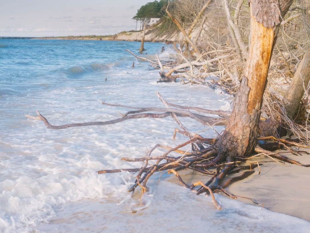 ナショナルジオグラフィックさんのインスタグラム写真 - (ナショナルジオグラフィックInstagram)「Photo by @ismailferdous / High tide crushes onto the shore of Savage Neck, a state park along the Chesapeake Bay in Virginia. For more photo follow @ismailferdous.」11月27日 12時35分 - natgeo