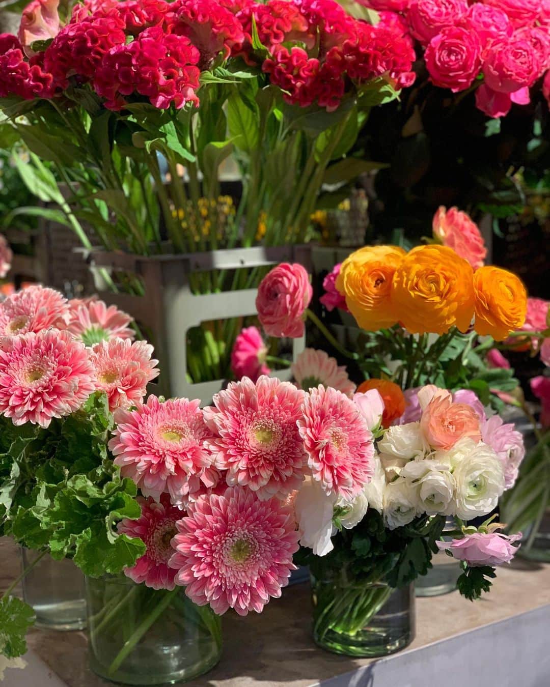 沢瀉美緒さんのインスタグラム写真 - (沢瀉美緒Instagram)「※ Favorite place ☕️ Favorite flower shop 💐 . 大好きなお花屋さんで、ラナンキュラスを💛 . 色んな色のラナンキュラスと 天然アロマになるゼラニウムを。 . お部屋の中がパッと明るくなって いい香りが広がっていて幸せ💛 . . #allgoodflowers #オールグッドフラワーズ #シェアグリーン南青山 #sharegreenminamiaoyama #ラナンキュラス #Ranunculus #ゼラニウム #Geranium #花のある暮らし #花が好きな人と繋がりたい #お花好きな人と繋がりたい」11月27日 12時41分 - mio_omodaka