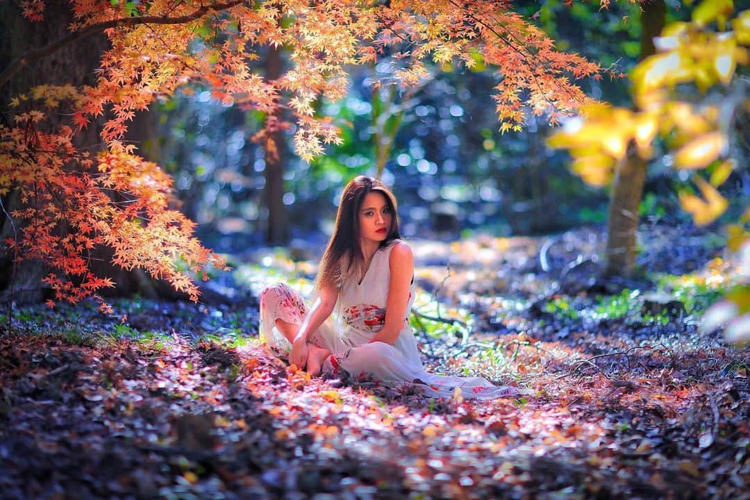 舘林佳史のインスタグラム：「鎌倉の紅葉で作品作り🍁  誰でも物語の主人公になれるをキャッチコピーにドラマや映画の物語のワンシーンの様なDramaticStoryPhotと言う名前で活動作品作りをしています。大好評のドラマティックフォトのご依頼はこのクオリティーで30000円〜(ほぼ諸経費)で受け賜わっています)^o^( 素敵な作品を一緒に作りたい！コラボレーションしたい 美容師・メイクアップアーティストさん ・服飾デザイナーさんクリエイターさんも随時募集中です✨  お姫様になりたい👸物語の主人公になってみませんか^ ^⁉︎. たった一枚の写真で人生が変わる‼️ ✨作品作り体験モデルに興味がある方 ドラマティックフォト依頼 撮影依頼 体験モデル募集①お名前②地域③年齢④身長⑤LINE ID⑥応募理由やお問い合わせ内容⑦最近の髪型スタイルの分かる写真をDMまたはメール下さい✨📩contact@dramaticphoto.jp モデル宣材撮影 コンポジ Book作り プロフィール撮影 ブライダルフォト記念撮影 衣装レンタル 成人式 着物 ドレスロケーションフォト スチール サロンモデル撮影 写真集等撮影のご依頼何でもお気軽にお問い合わせDM下さい✨📩 . ༚┈❁┈༚༝༝༚┈❁┈༚༝༝༚┈❁┈༚༝༝༚┈❁┈ ༚༝༝༚┈❁┈ ． 【掲載モデル個撮紹介】 掲載モデルを撮ってみたいと思った事はありませんか^ ^⁉️ . 掲載モデルさんをご紹介出来るようになりました❣️ . ✅ポートレート撮影をやってみたいけどモデルモデルが見つからない。 ✅モデルと一対一でポートレート撮影したい。 ✅撮影会だと撮りたい構図の写真が撮れない。 ✅モデル2人でツイン撮影したい。 ✅友達のカメラマンと一緒にモデルを撮りたい。 ✅モデルとメイクさんを呼んで作品作りをしたい。 ✅スタジオで個撮したい。 ✅海や山で撮影したい。 ✅水着撮影したい。 ✅仕事帰りに撮影したい。 ✅夜景やネオンで撮りたい。 ✅フォトコンにチャレンジしたい。 ✅美容院スタイリストの作品作りコンテストモデル探しや撮影をしたい。カメラマンも探している。 ✅プロのフォトグラファーを 目指している。 ✅プロのカメラマンと同行してもらって勉強したい。 ✅自分の都合の良い日や時間に合わせて撮影がしたい。 . ༚┈❁┈༚༝༝༚┈❁┈༚༝༝༚┈❁┈༚༝༝༚┈❁┈ ༚༝༝༚┈❁┈ ． 【掲載モデルの個人撮影依頼】 . お問い合わせは以下の内容を記入しDM 📩 又はLINE下さい ID510661(舘林佳史) . お取り次ぎ致します❣️ . 件名《個撮モデルお問い合わせ》 ⚫︎氏名: ⚫︎年齢: ⚫︎連絡先: ⚫︎メールアドレス: ⚫︎カメラ歴: 年 ⚫︎希望モデル名: ⚫︎希望日: ⚫︎希望時間: ⚫︎希望集合場所:  駅や施設名 ⚫︎希望撮影地: 湘南  鎌倉 横浜 ○○公園 等 ⚫︎移動手段: 徒歩  車 ⚫︎希望衣装: ドレス・ロングスカート・ミニスカート・ワンピース・普段着・カジュアル・ショーパン・お任せ・着物・その他 ⚫︎衣装(モデルさんに持って来て欲しい・自分で用意したい) . . ༚┈❁┈༚༝༝༚┈❁┈༚༝༝༚┈❁┈༚༝༝༚┈❁┈ ༚༝༝༚┈❁┈ ． ◆撮影料金 . 基本撮影時間:3時間(休憩時間移動込み) 15000円 ⚫︎延長:1時間ごとに5000円 . ༚┈❁┈༚༝༝༚┈❁┈༚༝༝༚┈❁┈༚༝༝༚┈❁┈ ༚༝༝༚┈❁┈ . ．  #鎌倉#八幡宮神社#紅葉#ミラクル#夢が叶う#ドレス撮影#モデル#ポートレートモデル」