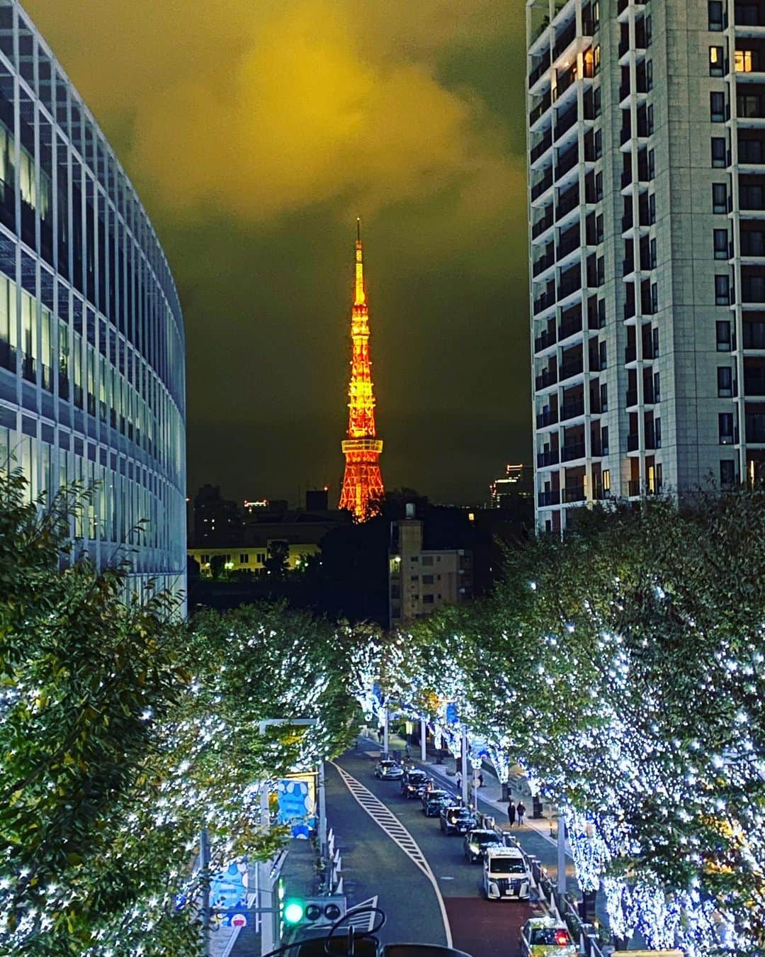 おおたうにさんのインスタグラム写真 - (おおたうにInstagram)「【4】Keyaki-Zaka🎄 けーやきざかー♫（フフー！）けーやきざかー♪（フフー！） 東京タワー🗼はツリーと見なす。 #christmastreehunting2020 #ツリー狩り #風物詩 #欅坂」11月27日 14時20分 - outa_uni