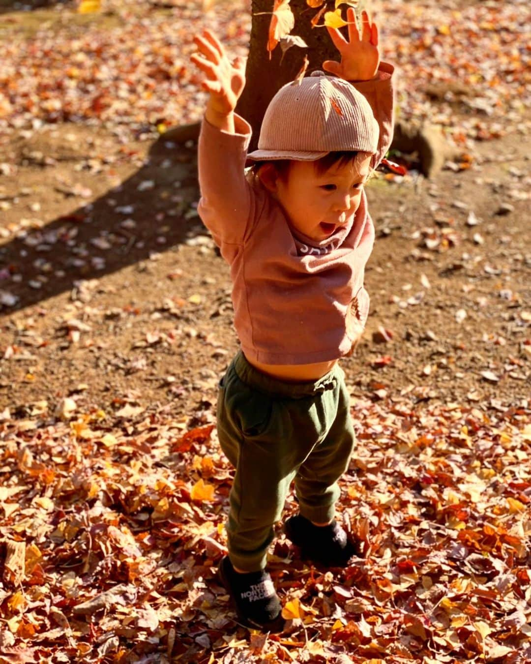 上原誠のインスタグラム：「🍁紅葉🍂  秋が好き😊  #読書の秋 #食欲の秋」