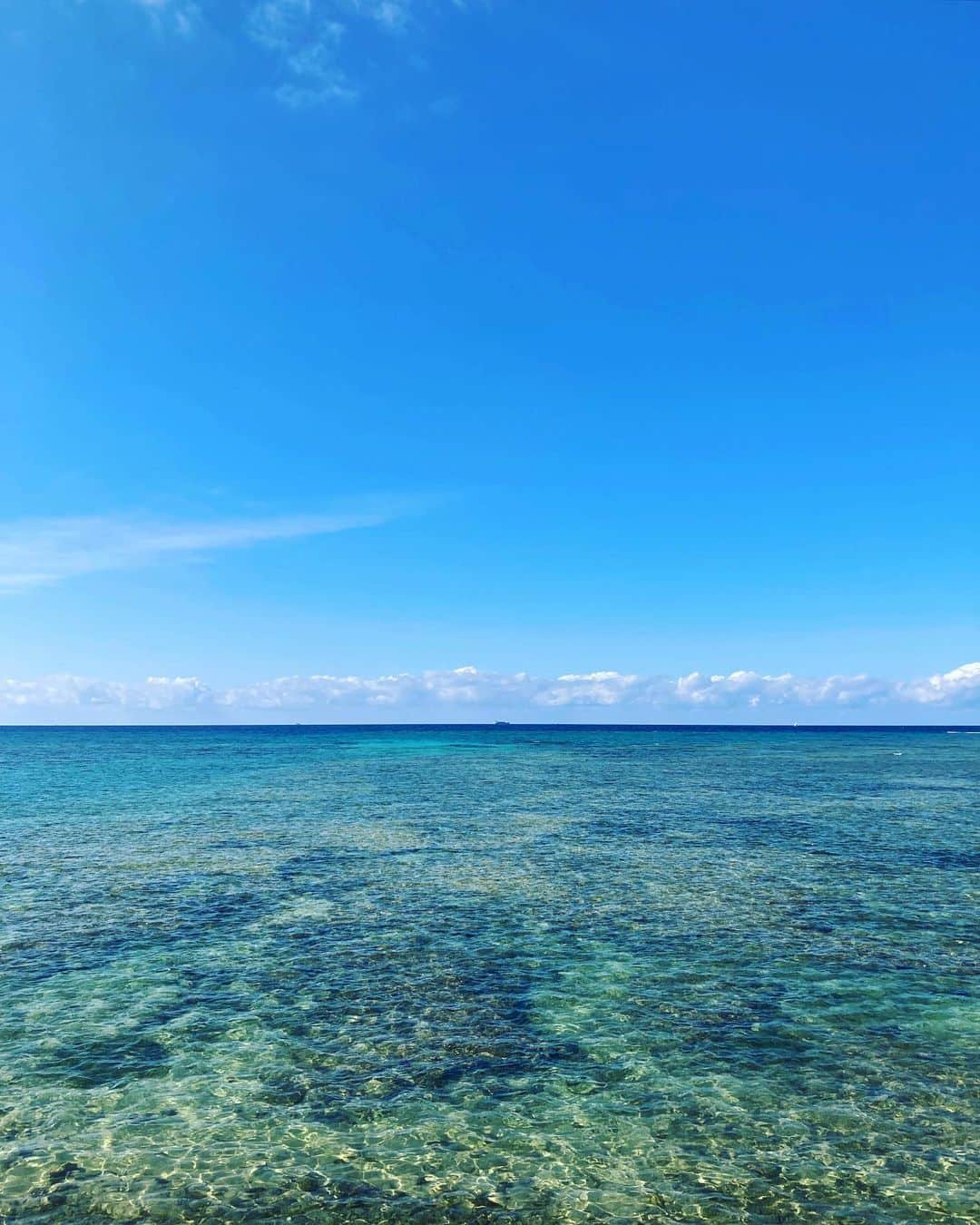 セソコマサユキのインスタグラム：「今日も良い天気すなー。あつー」