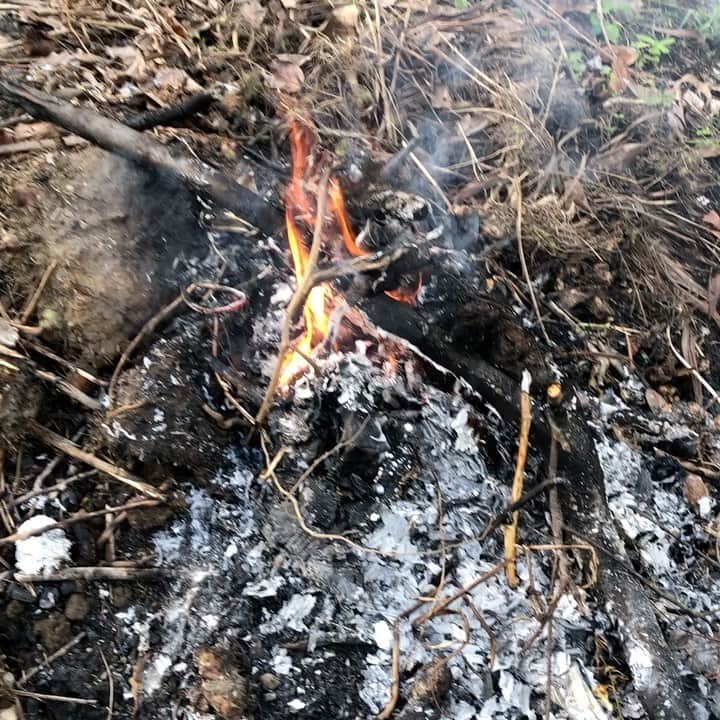 林克治のインスタグラム：「焚火。  火ってずっと見てられる。  不思議だなぁ。  火を見ながらボーッとする贅沢。」
