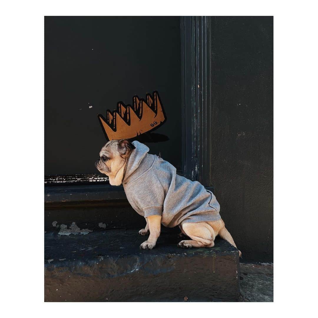 Melissa Santiagoのインスタグラム：「👑 🐷 👑 #DailyPug」